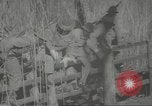 Standbild Negro Soldaten South Pacific Ocean, 1944, aus Sekunde 29 historischem Filmmaterial Videoclip 65675060606