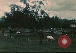 Immagine di I prigionieri di guerra tedeschi Annecy Francia, 1944, secondo 1 filmato di repertorio 65675060618