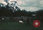 Immagine di I prigionieri di guerra tedeschi Annecy Francia, 1944, secondo 4 filmato di repertorio 65675060618