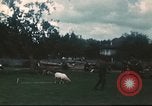 Immagine di I prigionieri di guerra tedeschi Annecy Francia, 1944, secondo 5 filmato di repertorio 65675060618