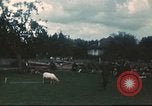 Immagine di I prigionieri di guerra tedeschi Annecy Francia, 1944, secondo 6 filmato di repertorio 65675060618
