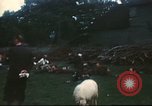 Immagine di I prigionieri di guerra tedeschi Annecy Francia, 1944, secondo 54 filmato di repertorio 65675060618