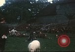 Immagine di I prigionieri di guerra tedeschi Annecy Francia, 1944, secondo 55 filmato di repertorio 65675060618
