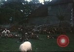 Immagine di I prigionieri di guerra tedeschi Annecy Francia, 1944, secondo 56 filmato di repertorio 65675060618