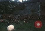 Immagine di I prigionieri di guerra tedeschi Annecy Francia, 1944, secondo 57 filmato di repertorio 65675060618
