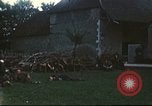 Immagine di I prigionieri di guerra tedeschi Annecy Francia, 1944, secondo 60 filmato di repertorio 65675060618