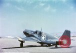 Image of A-36 Invader dive bombers Sicily Italy, 1943, second 41 stock footage video 65675060625