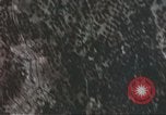 Standbild A-36 Invader dive Bomber Sizilien Italien, 1943, aus Sekunde 36 historischem Filmmaterial Videoclip 65675060629