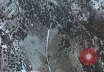 Standbild A-36 Invader dive Bomber Sizilien Italien, 1943, aus Sekunde 38 historischem Filmmaterial Videoclip 65675060629