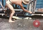 Immagine di Ragazzi italiani Sicilia Italia, 1943, secondo 46 filmato di repertorio 65675060638