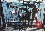 Immagine di Ragazzi italiani Sicilia Italia, 1943, secondo 57 filmato di repertorio 65675060638
