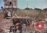 Image Cape Rasocolmo Sicile Italie, 1943, de la seconde 3 séquences d'archives historiques vidéo 65675060639