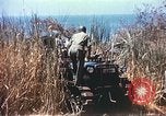 Image Cape Rasocolmo Sicile Italie, 1943, de la seconde 51 séquences d'archives historiques vidéo 65675060639