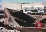 Image of Bombed railroad station and port Messina Sicily Italy, 1943, second 19 stock footage video 65675060643