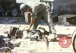 Image of United States soldier Sicily Italy, 1943, second 50 stock footage video 65675060644
