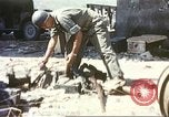 Image of United States soldier Sicily Italy, 1943, second 58 stock footage video 65675060644