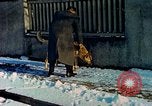 Standbild Eva Braun Deutschland, 1940, aus Sekunde 8 historischem Filmmaterial Videoclip 65675060648