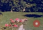 Immagine di Eva Braun Berchtesgaden Germania, 1940, secondo 46 filmato di repertorio 65675060652