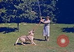 Immagine di Eva Braun Berchtesgaden Germania, 1940, secondo 48 filmato di repertorio 65675060652