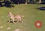 Immagine di Eva Braun Berchtesgaden Germania, 1940, secondo 50 filmato di repertorio 65675060652