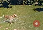Immagine di Eva Braun Berchtesgaden Germania, 1940, secondo 51 filmato di repertorio 65675060652