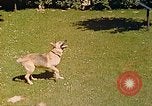 Immagine di Eva Braun Berchtesgaden Germania, 1940, secondo 52 filmato di repertorio 65675060652