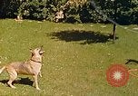 Immagine di Eva Braun Berchtesgaden Germania, 1940, secondo 53 filmato di repertorio 65675060652