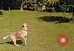 Immagine di Eva Braun Berchtesgaden Germania, 1940, secondo 54 filmato di repertorio 65675060652
