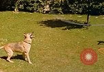 Immagine di Eva Braun Berchtesgaden Germania, 1940, secondo 56 filmato di repertorio 65675060652