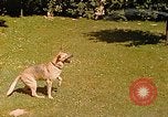 Immagine di Eva Braun Berchtesgaden Germania, 1940, secondo 57 filmato di repertorio 65675060652