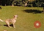 Immagine di Eva Braun Berchtesgaden Germania, 1940, secondo 58 filmato di repertorio 65675060652
