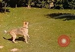 Immagine di Eva Braun Berchtesgaden Germania, 1940, secondo 59 filmato di repertorio 65675060652