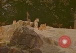 Immagine di Eva Braun allo zoo Berchtesgaden Germania, 1940, secondo 5 filmato di repertorio 65675060660