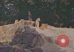 Immagine di Eva Braun allo zoo Berchtesgaden Germania, 1940, secondo 8 filmato di repertorio 65675060660