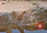 Immagine di Eva Braun allo zoo Berchtesgaden Germania, 1940, secondo 11 filmato di repertorio 65675060660