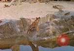 Immagine di Eva Braun allo zoo Berchtesgaden Germania, 1940, secondo 13 filmato di repertorio 65675060660
