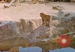 Immagine di Eva Braun allo zoo Berchtesgaden Germania, 1940, secondo 14 filmato di repertorio 65675060660