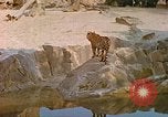 Immagine di Eva Braun allo zoo Berchtesgaden Germania, 1940, secondo 15 filmato di repertorio 65675060660
