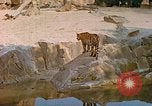 Immagine di Eva Braun allo zoo Berchtesgaden Germania, 1940, secondo 16 filmato di repertorio 65675060660