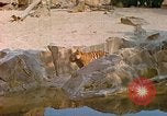 Immagine di Eva Braun allo zoo Berchtesgaden Germania, 1940, secondo 19 filmato di repertorio 65675060660