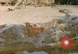 Immagine di Eva Braun allo zoo Berchtesgaden Germania, 1940, secondo 22 filmato di repertorio 65675060660