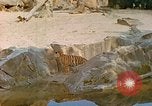 Immagine di Eva Braun allo zoo Berchtesgaden Germania, 1940, secondo 23 filmato di repertorio 65675060660