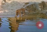 Immagine di Eva Braun allo zoo Berchtesgaden Germania, 1940, secondo 33 filmato di repertorio 65675060660