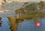 Immagine di Eva Braun allo zoo Berchtesgaden Germania, 1940, secondo 35 filmato di repertorio 65675060660