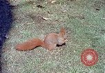 Immagine di Eva Braun allo zoo Berchtesgaden Germania, 1940, secondo 54 filmato di repertorio 65675060660