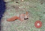 Immagine di Eva Braun allo zoo Berchtesgaden Germania, 1940, secondo 55 filmato di repertorio 65675060660