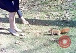 Immagine di Eva Braun allo zoo Berchtesgaden Germania, 1940, secondo 57 filmato di repertorio 65675060660