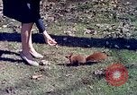 Immagine di Eva Braun allo zoo Berchtesgaden Germania, 1940, secondo 58 filmato di repertorio 65675060660