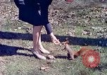 Immagine di Eva Braun allo zoo Berchtesgaden Germania, 1940, secondo 59 filmato di repertorio 65675060660