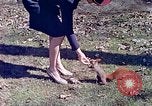 Immagine di Eva Braun allo zoo Berchtesgaden Germania, 1940, secondo 60 filmato di repertorio 65675060660